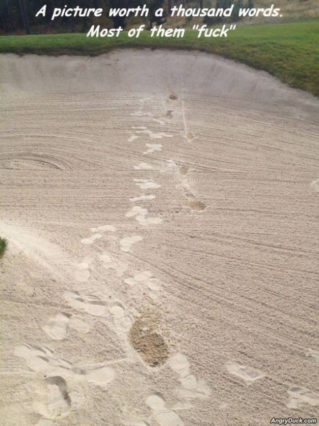 Picture Worth 1000 Words