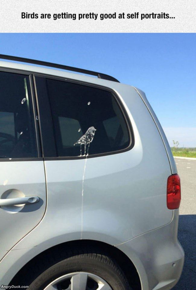 Birds Are Getting Good At It