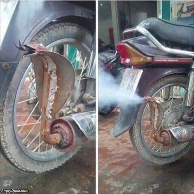 Cool Exhaust Pipe
