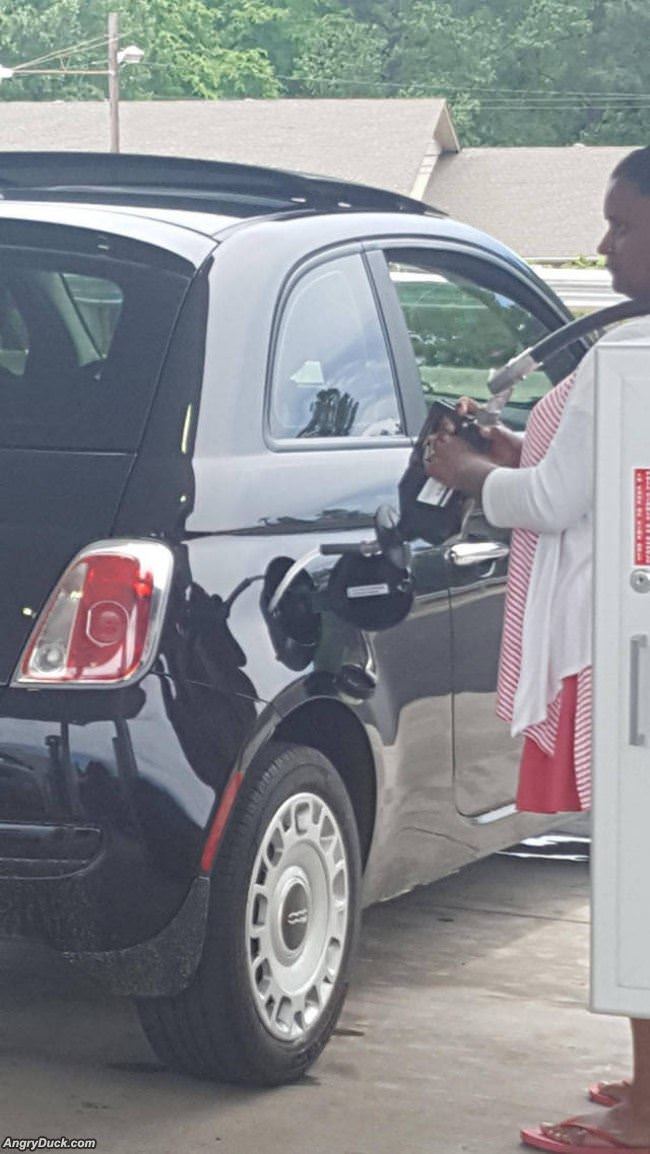 Gassing Up Expert