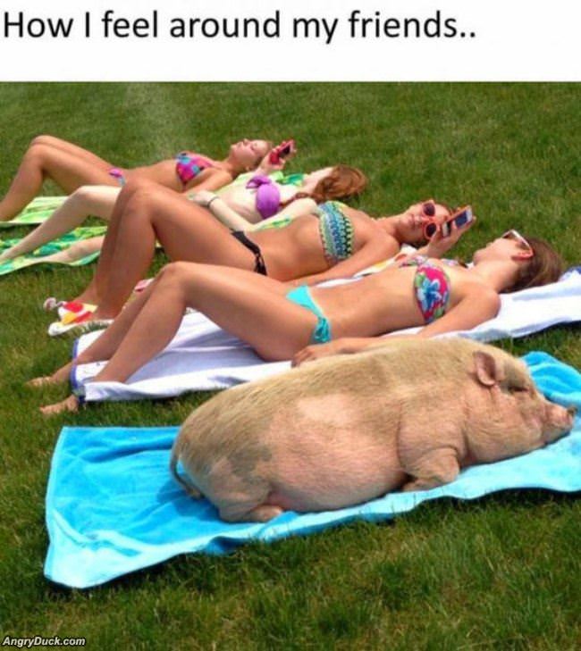 How I Feel Around My Friends