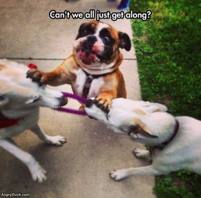 Just Get Along