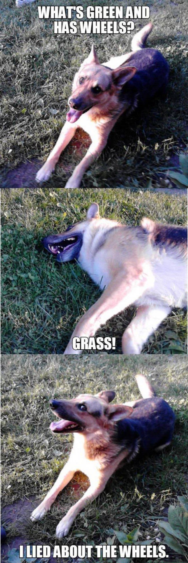 Let Me Tell You A Joke