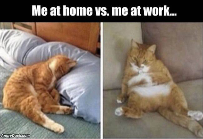 Me At Home Vs Me At Work