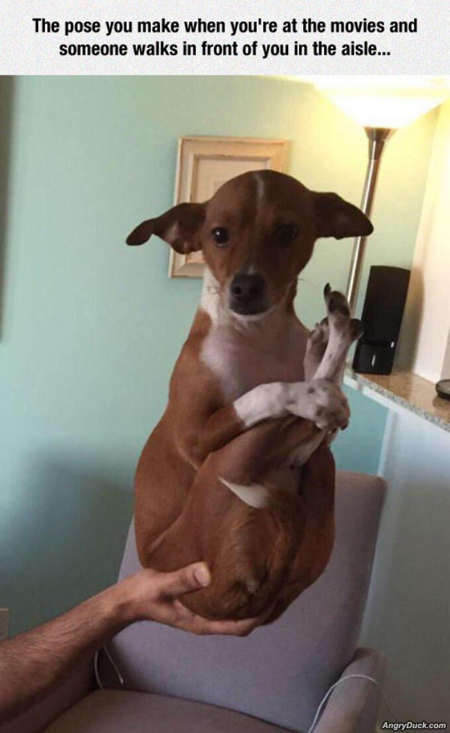 The Pose You Make