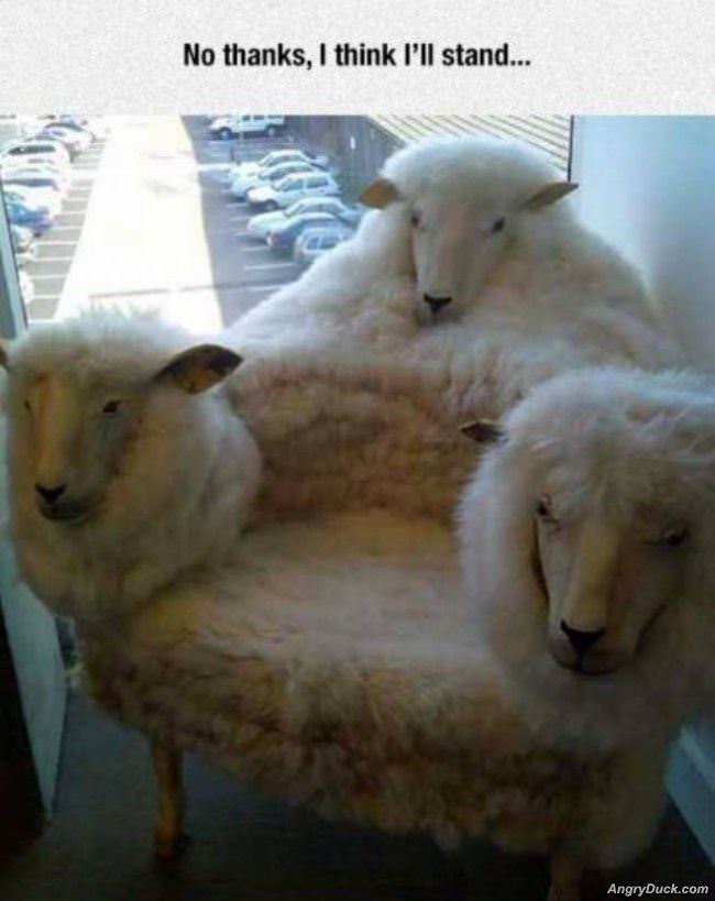 The Sheep Chair
