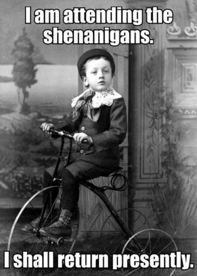 The Shenanigans
