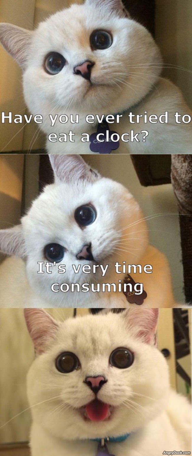 Tried To Eat A Clock