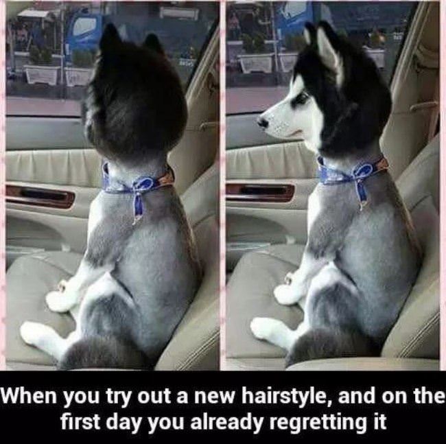 Trying A New Hairstyle
