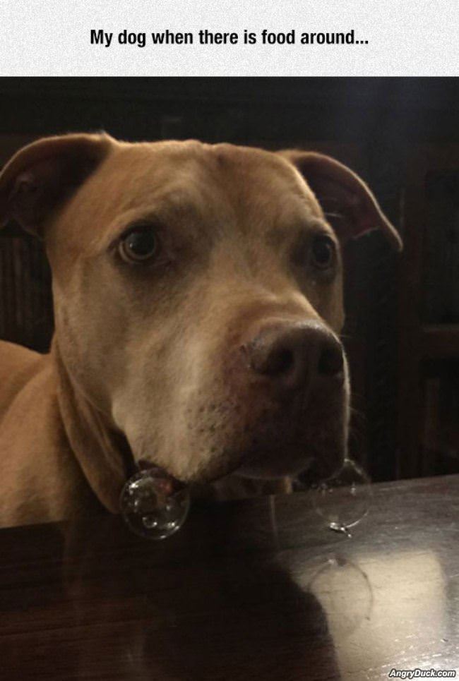 When There Is Food Around