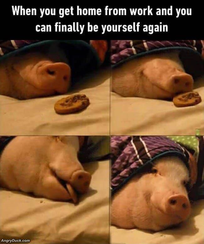 Can Finally Be Yourself Again
