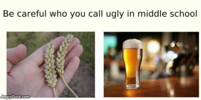 Careful Who You Call Ugly