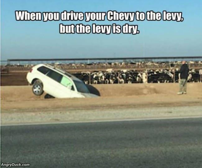 Drive Your Chevy To The Levy