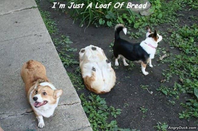 Just A Loaf