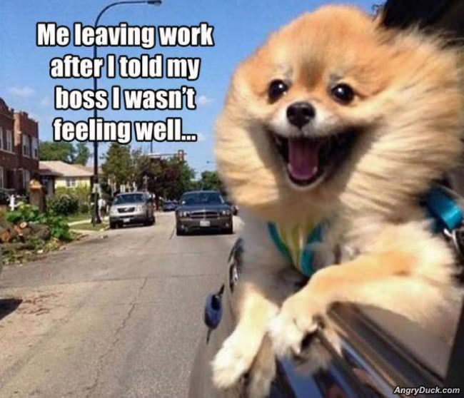 Leaving Work