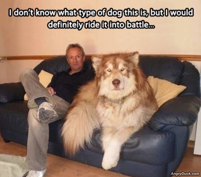 No Clue What Kind It Is