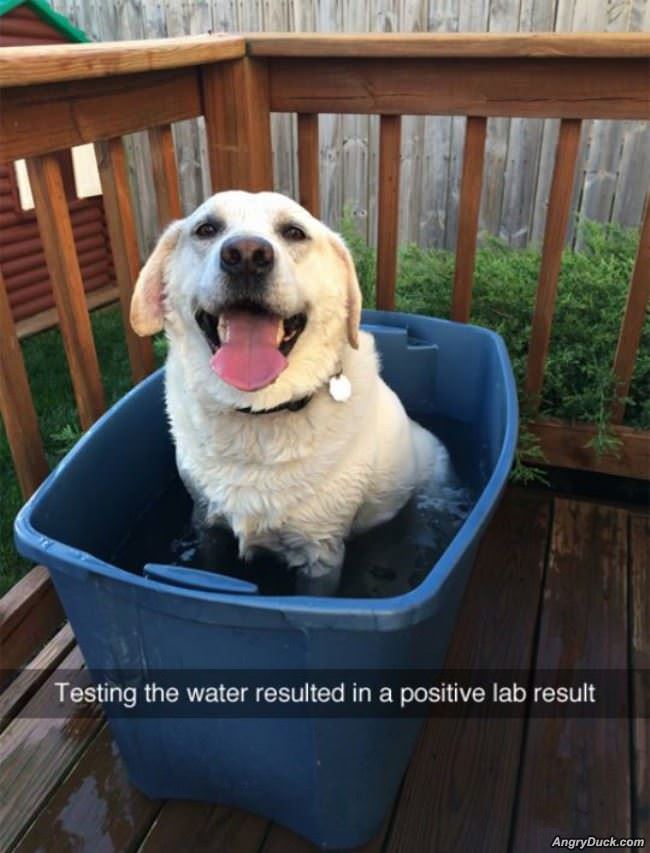 Testing The Water