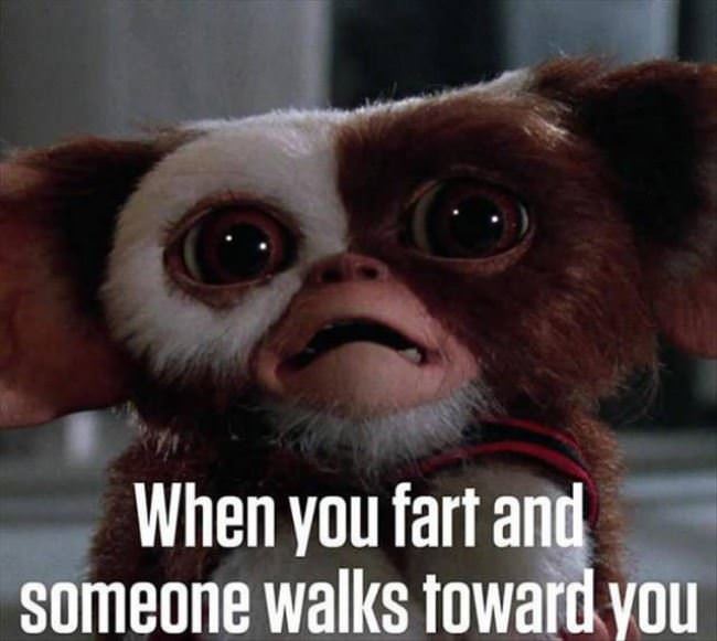 When You Fart