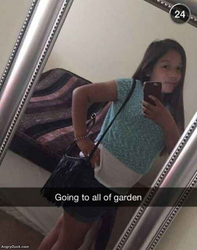 All Of Garden