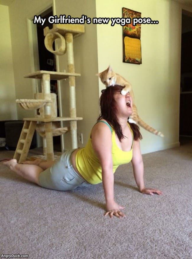 No Yoga Here