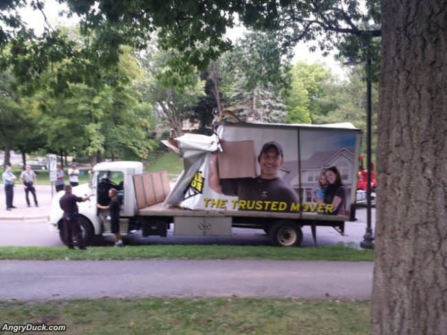 The Trusted Mover