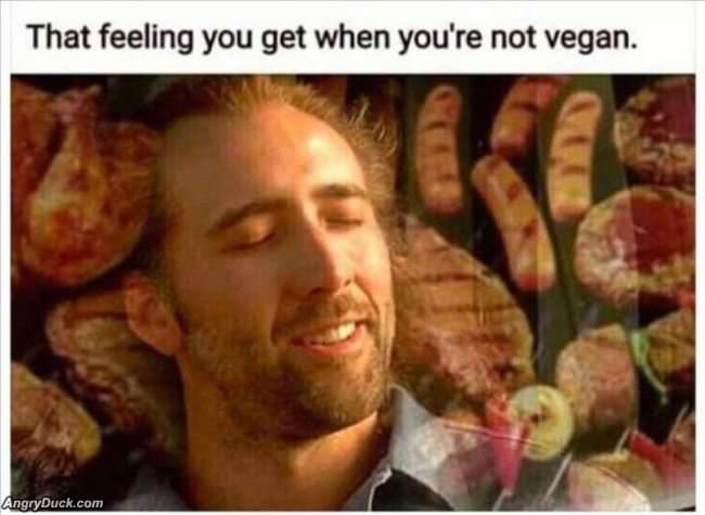 When You Are Not A Vegan