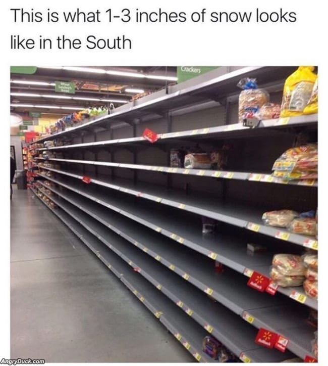 1 To 3 Inches Of Snow In The South