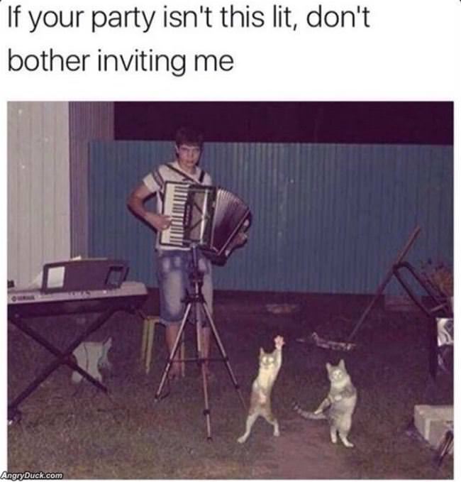 A Party This Lit