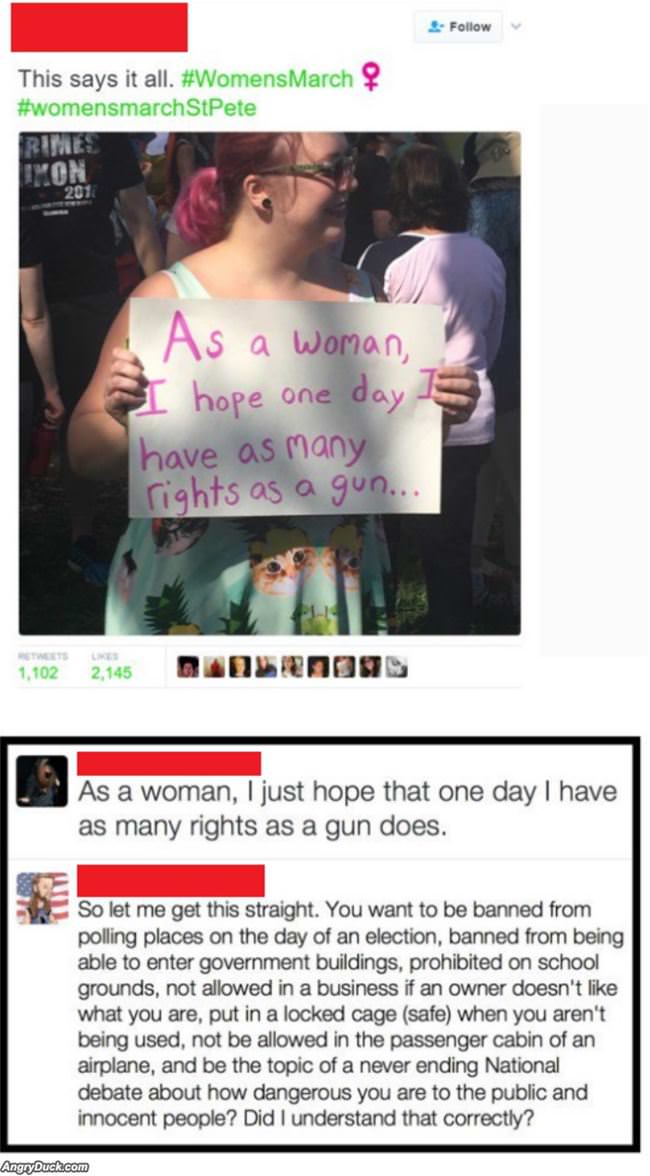 As Many Rights As A Gun