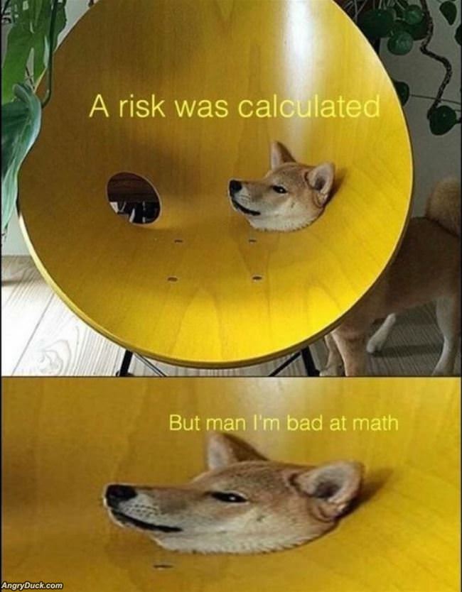 Calculated Risk