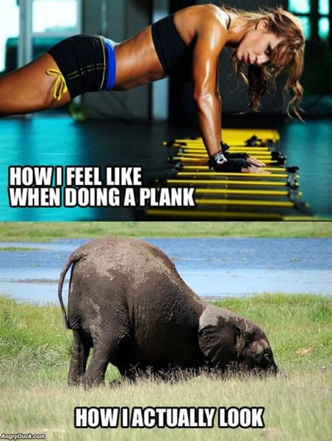 Doing A Plank