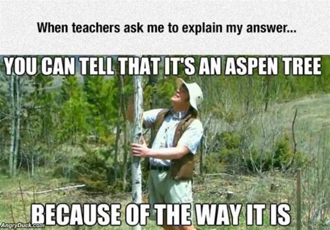 Explaining An Answer