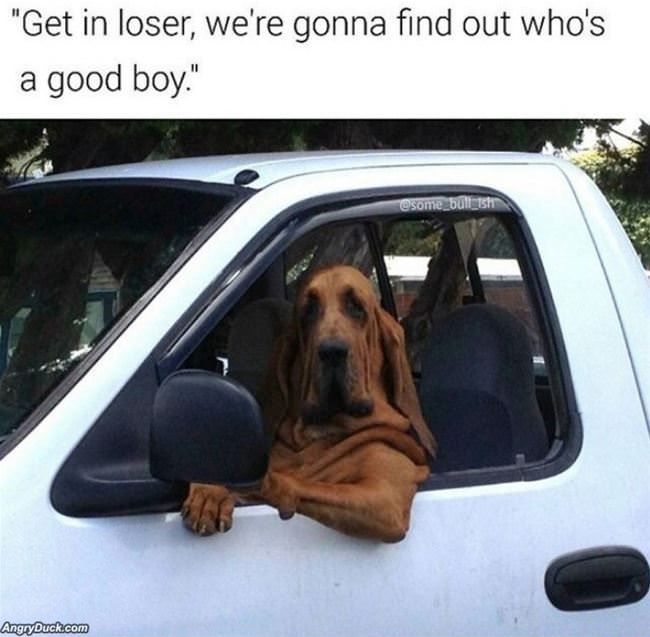 Get In Loser