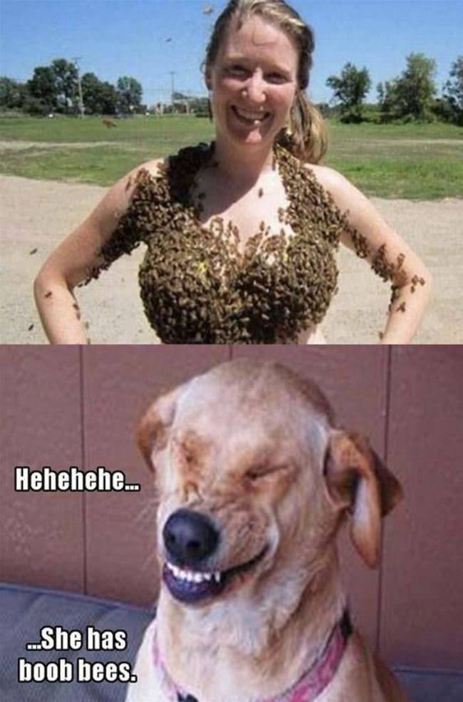 Hehehe She Has Boo Bees