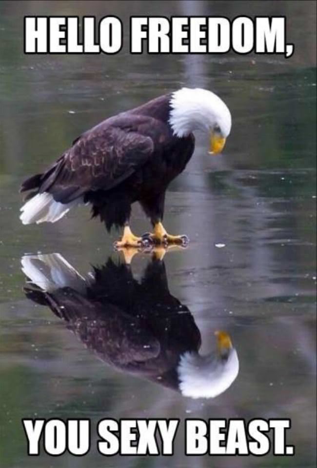 Hello Freedom