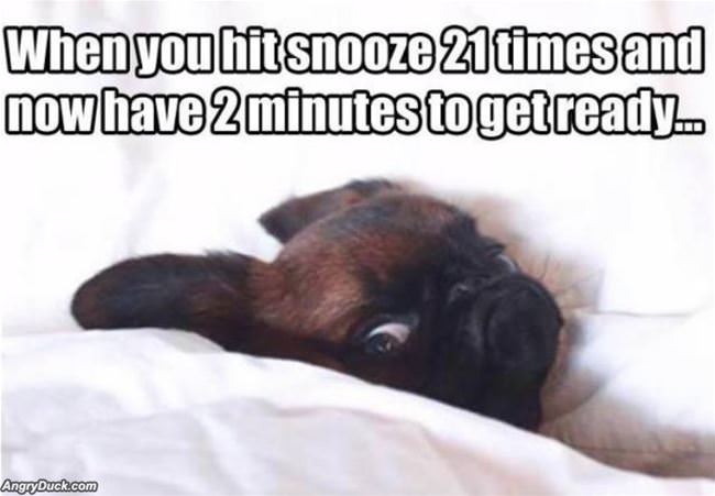 Hit Snooze Too Many Times