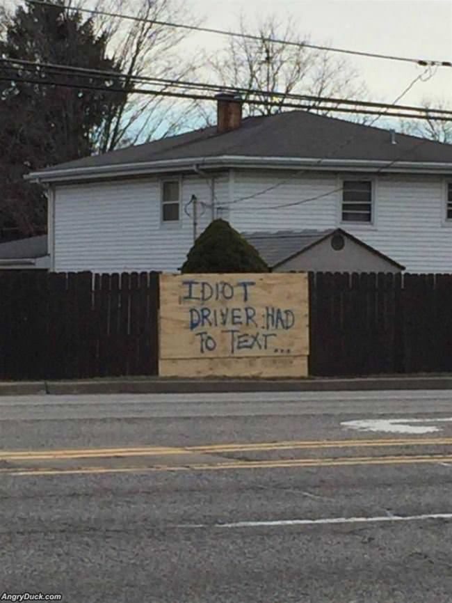 Idiot Driver Had To Text