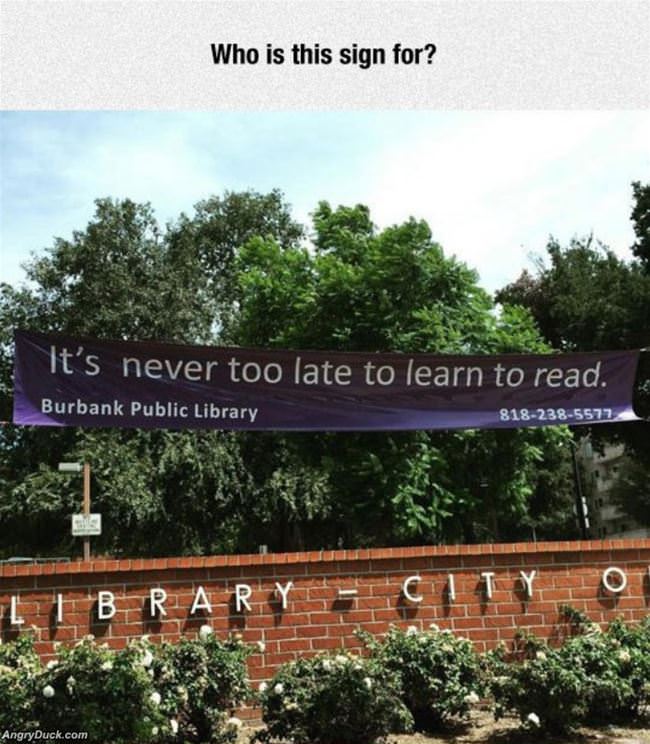 Never Too Late