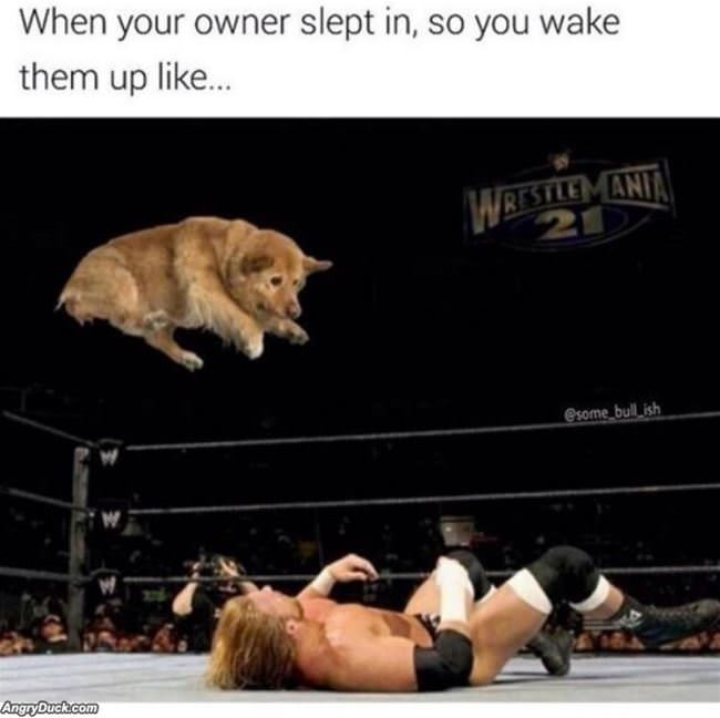 No Sleeping In Today