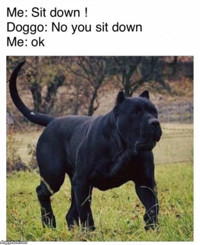 No You Sit Down