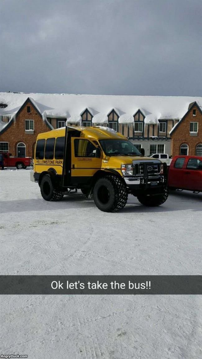 Ok We Can Take The Bus