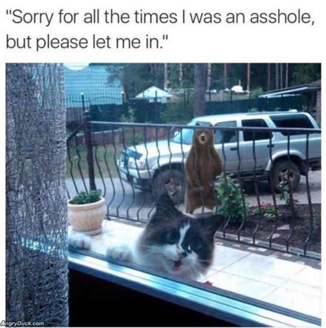 Sorry For Those Times