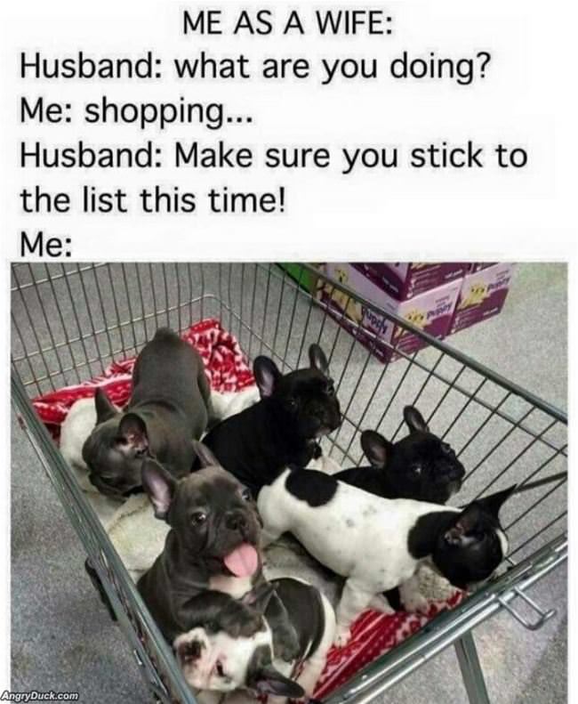 Stick To The List This Time