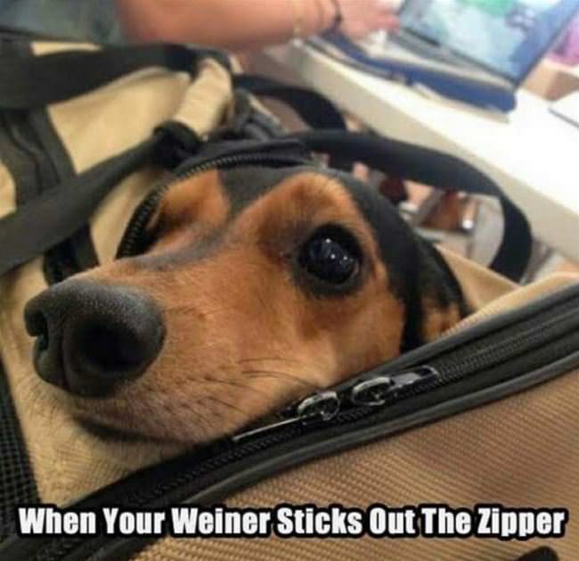 Sticks Out Of The Zipper