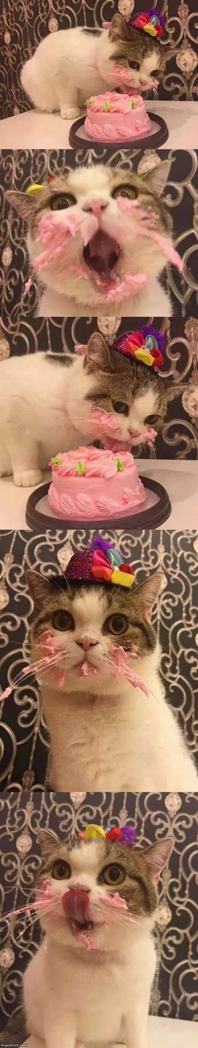 That Was Some Good Cake