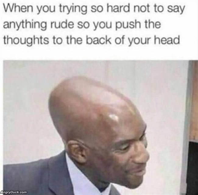 Trying Not To Be Rude