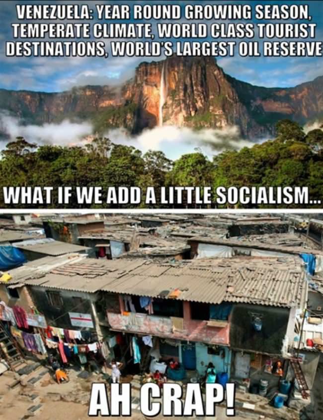 What If We Add A Little Socialism