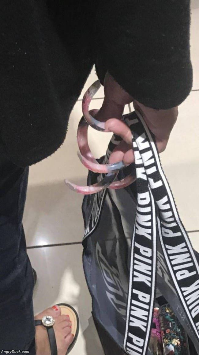 Absolutely Disgusting