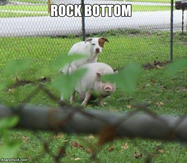 Hit Rock Bottom