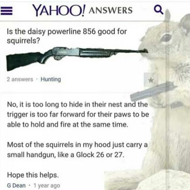 Is It Good For Squirrels